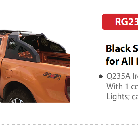 rg23-f12-black-side-mesh-roll-bar-for-all-pickups